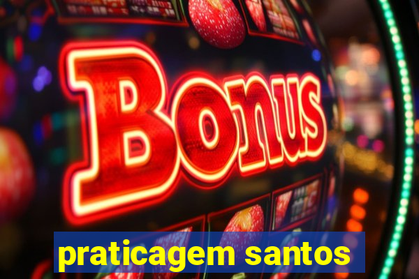 praticagem santos